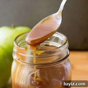 Homemade Salted Caramel Sauce Recipe for Desserts 6 Easy Salted Caramel Sauce. Perfect with pretzels, apple slices, or drizzled on pancakes, cakes & ice cream - making this delicious caramel sauce only takes minutes.