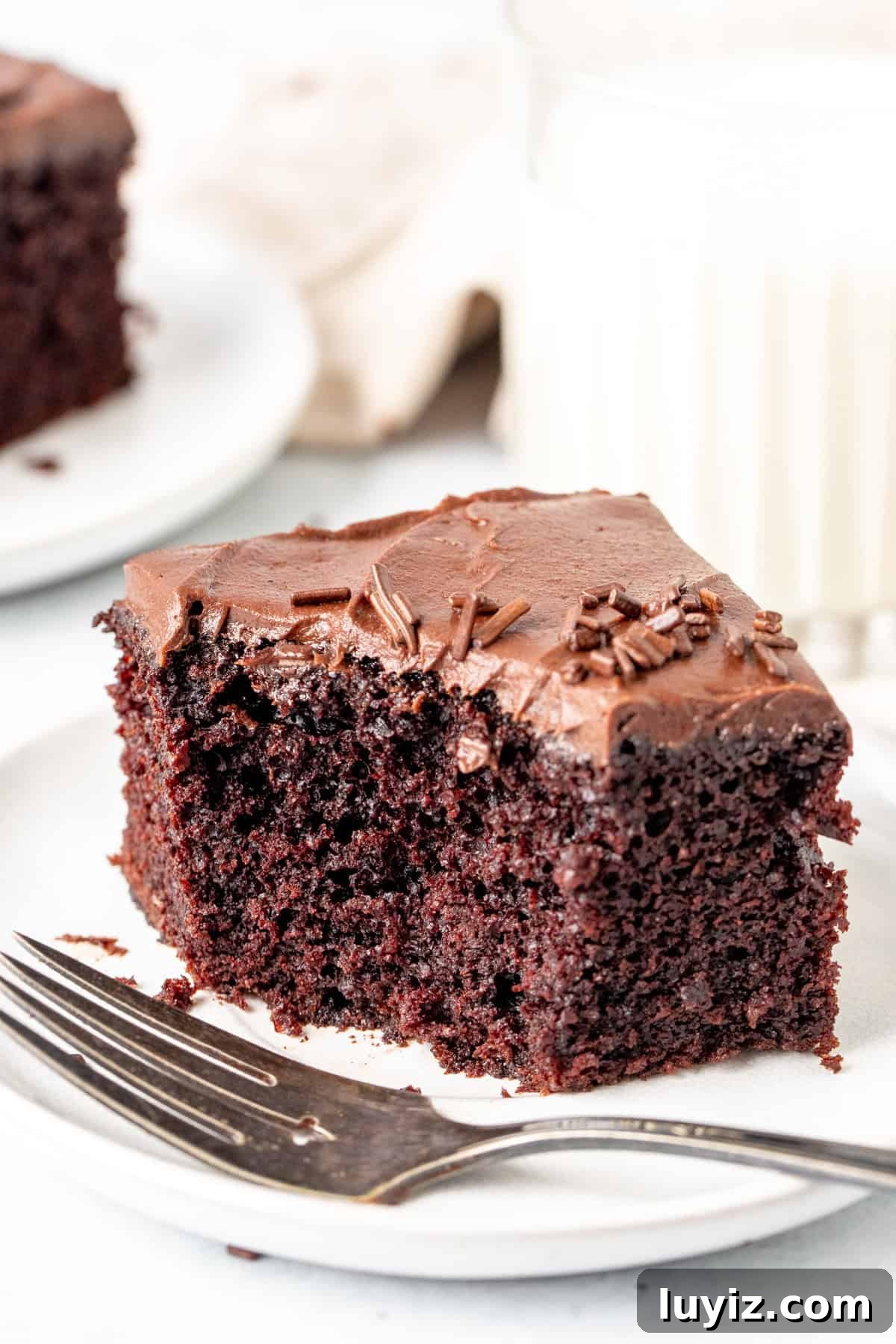 Decadent Chocolate Sheet Cake Recipe for Any Occasion 6 Slice of chocolate sheet cake with a large bite taken out.