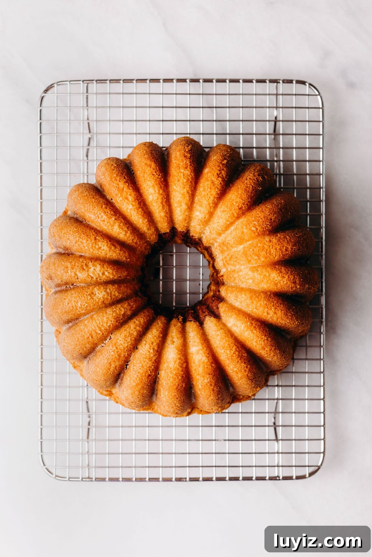 Decadent Marble Bundt Cake Recipe with Swirled Chocolate-Vanilla 12 Cooling a marble bundt cake on a wire cooling rack on a white marbled background.