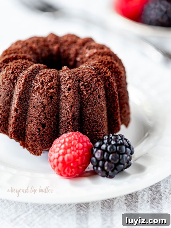 Decadent Marble Bundt Cake Recipe with Swirled Chocolate-Vanilla 17 Mini bundt chocolate pound cake on white dessert plate garnished with berries.