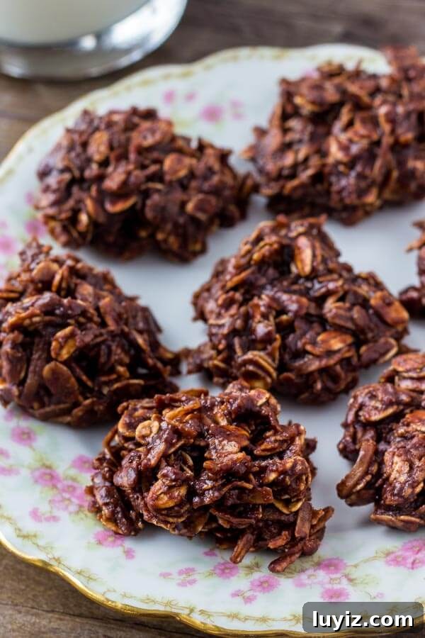 No-Bake Chocolate Haystack Oatmeal Cookies 5 Haystack cookies - chocolate macaroons made with oatmeal and coconut