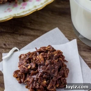No-Bake Chocolate Haystack Oatmeal Cookies 6 Haystack cookies - soft, chewy no bake chocolate oatmeal cookies.