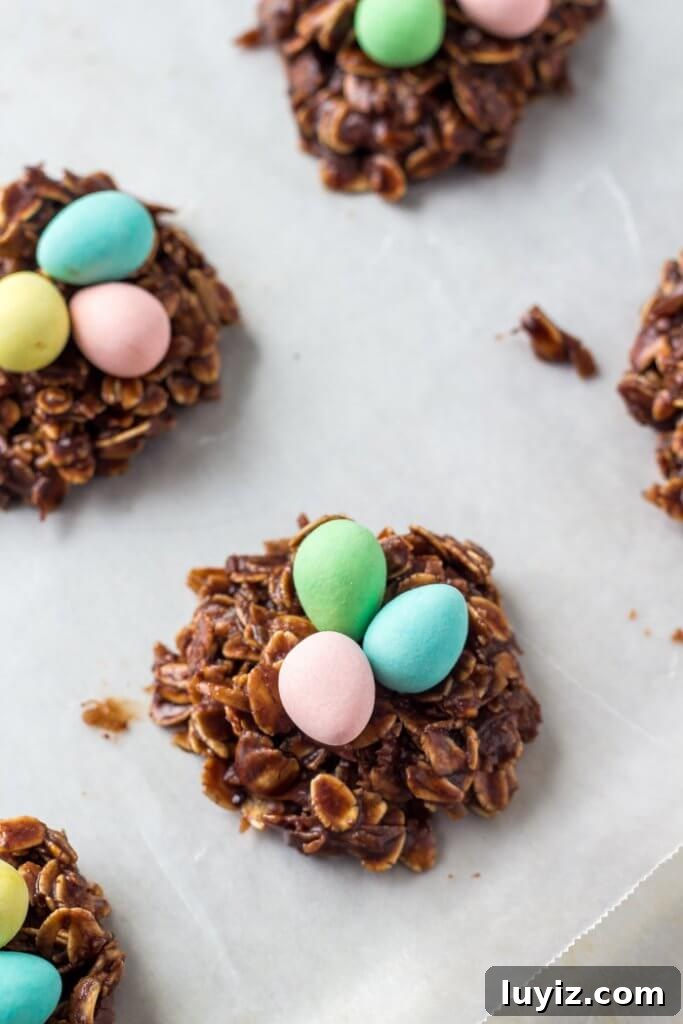 Easter Bird's Nest Cookies Recipe for Spring Celebrations 3 Easter Nest Cookies - easy no bake treats made with mini eggs.