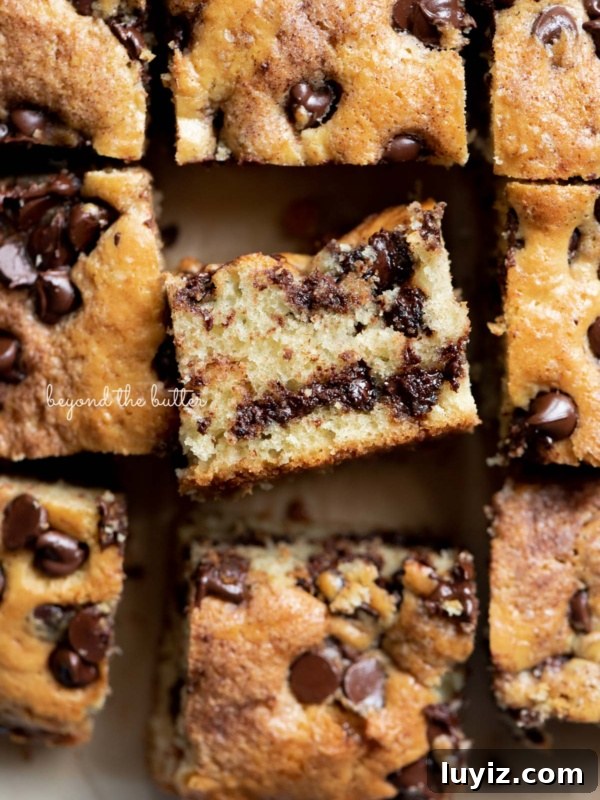 Apple Cinnamon Coffee Cake Recipe for Moist, Tender Crumbs 12 Slices of chocolate chip sour cream coffee cake on brown parchment paper with center slice on its side.