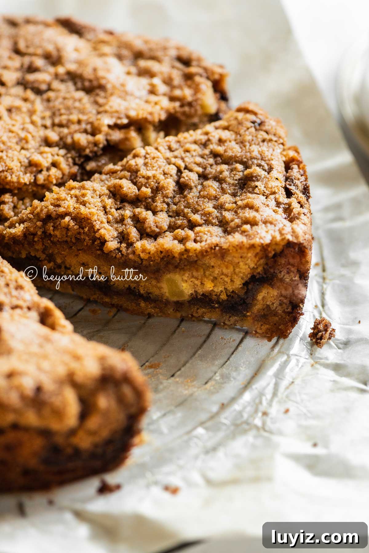 Apple Cinnamon Coffee Cake Recipe for Moist, Tender Crumbs 5 Side view of sliced cinnamon apple coffee cake | All Images © Beyond the Butter™