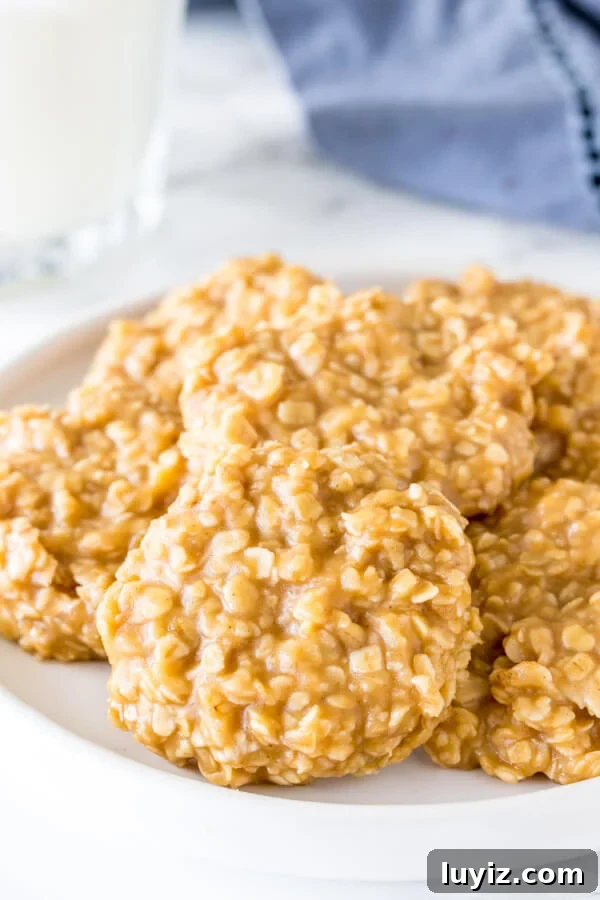 No-Bake Peanut Butter Cookies Recipe That Actually Sticks Together 3 A plate of peanut butter oatmeal no-bake cookies.