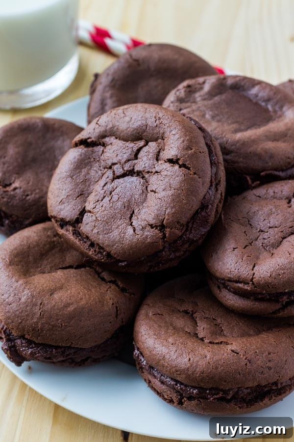 Copycat Fudgee-O Cookies Recipe You Can Make at Home 2 These homemade Fudgee-O cookies are extra soft, super chocolate-y, and seriously addictive. It's an easy chocolate cake mix cookie recipe, then they're sandwiched creamy chocolate frosting.