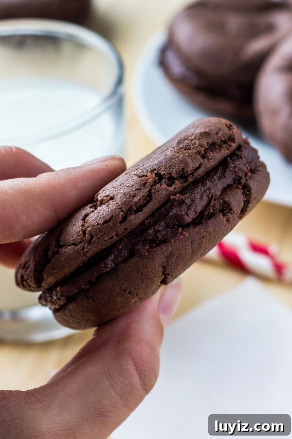 Copycat Fudgee-O Cookies Recipe You Can Make at Home 3 Chocolate cookies with chocolate frosting