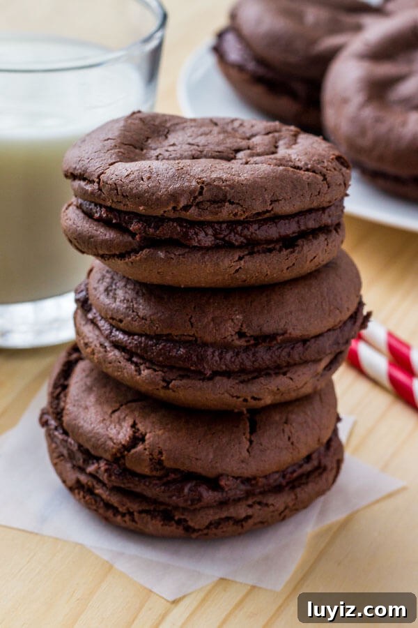 Copycat Fudgee-O Cookies Recipe You Can Make at Home 7 Homemade double chocolate sandwich cookies.