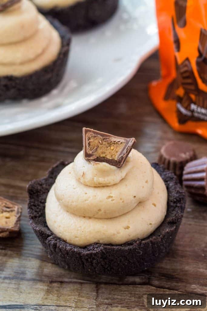 Mini No-Bake Peanut Butter Cheesecake Bites 2 No bake mini peanut butter cheesecakes are an adorable peanut butter treat