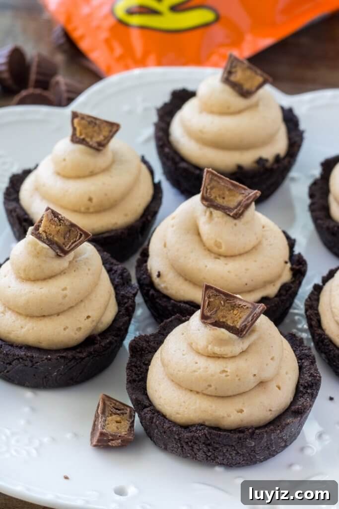 Mini No-Bake Peanut Butter Cheesecake Bites 3 Mini peanut butter cheesecakes with an Oreo crust and creamy smooth peanut butter filling.