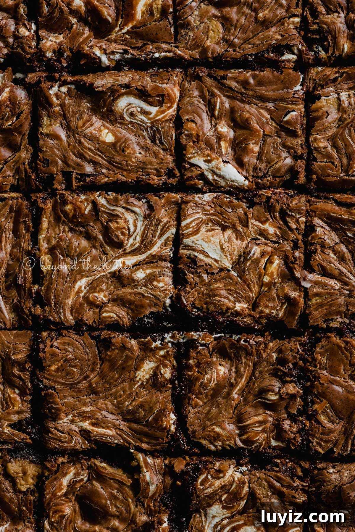 Marshmallow Peanut Butter Brownies Recipe — Gooey Chocolate Bars 6 Closeup of cut marshmallow peanut butter brownies | All Images © Beyond the Butter™