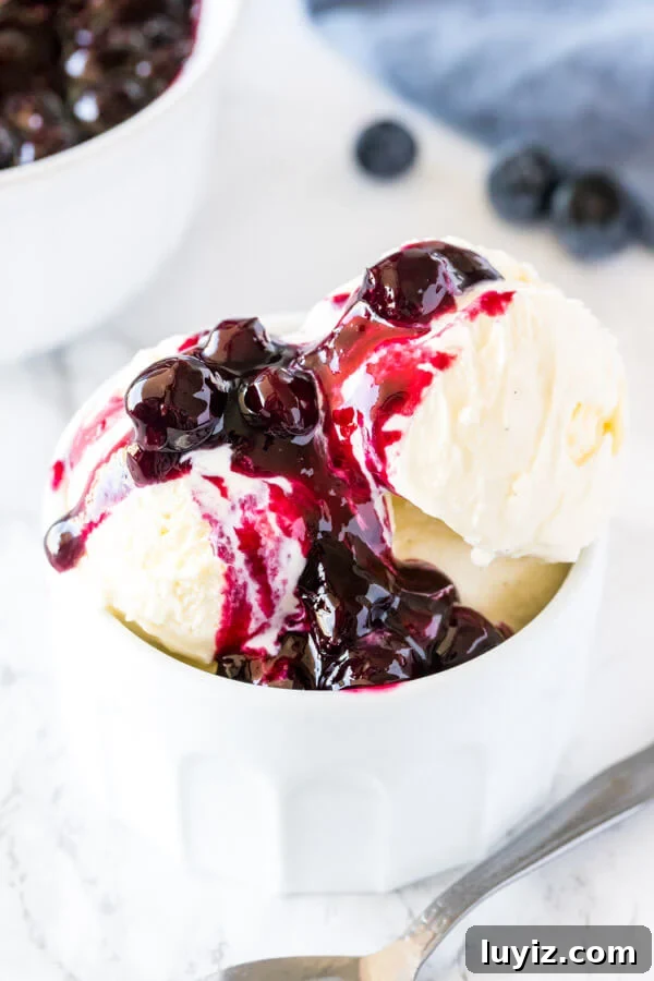 Homemade Blueberry Sauce from Fresh or Frozen Berries 3 A bowl of vanilla ice cream topped with blueberry sauce, with the warm blueberry sauce gently melting the ice cream