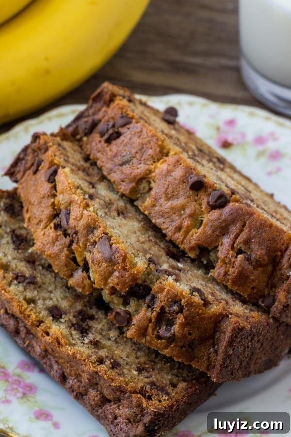 Moist Chocolate Chip Banana Bread Recipe for Home Bakers 3 Banana chocolate chip bread - an easy banana bread recipe.