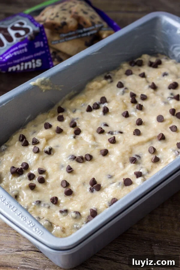 Moist Chocolate Chip Banana Bread Recipe for Home Bakers 4 Banana Chocolate Chip Bread Recipe