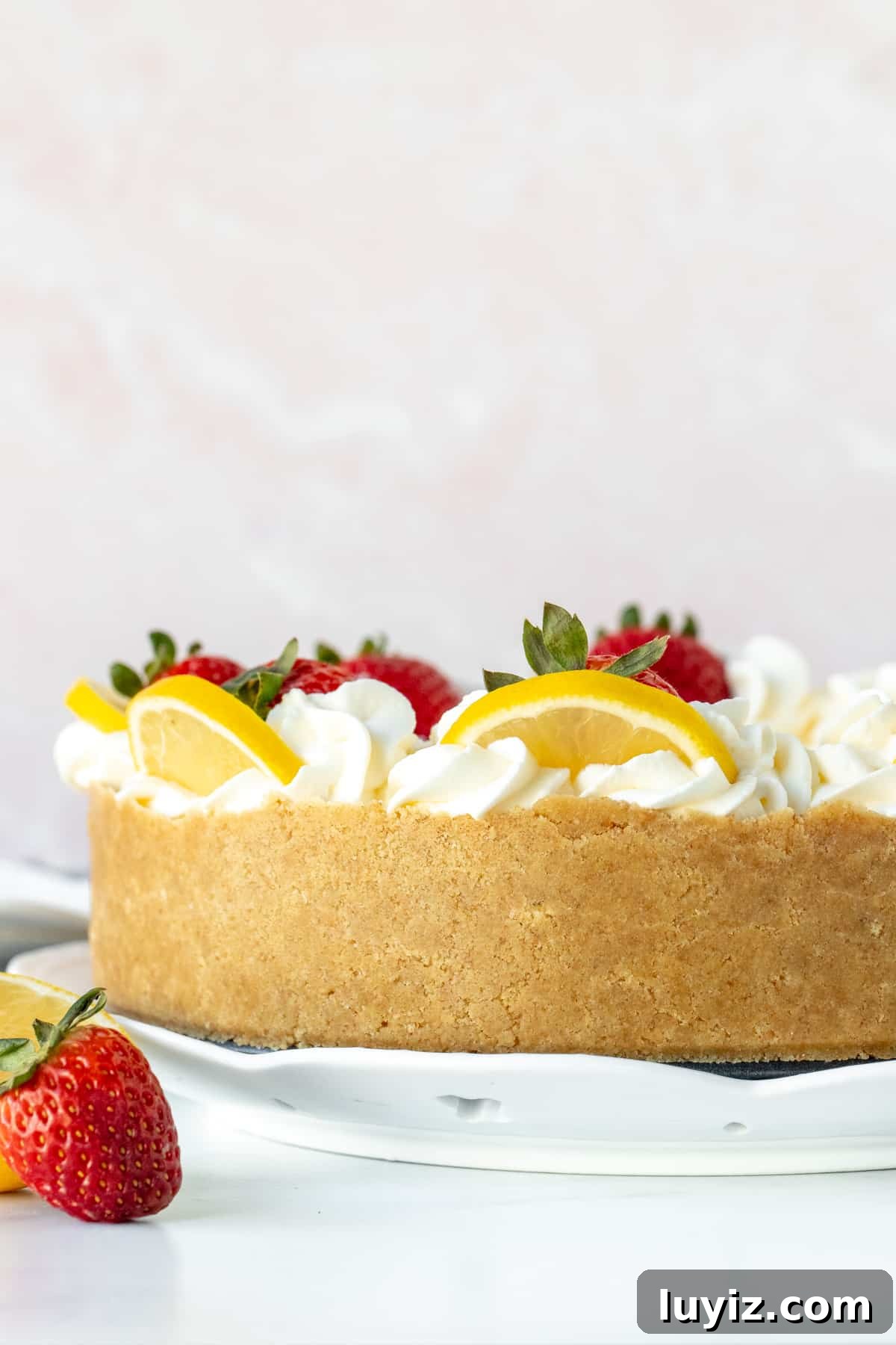 Creamy No-Bake Lemon Cheesecake Recipe: Zesty Dessert Without Baking 3 9-inch round no-bake lemon cheesecake with graham crust around the edges.
