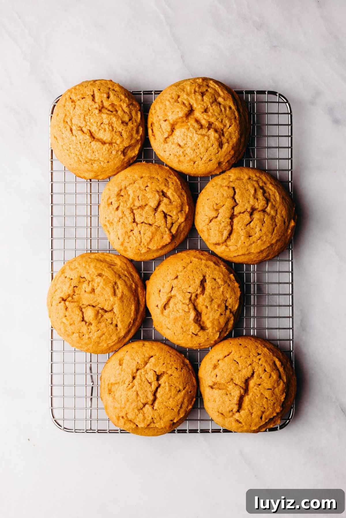 Pumpkin Whoopie Pies Recipe: Soft Spiced Sandwich Cookies 12 Eight pumpkin whoopie pie cakes cooling on a wire cooling rack.