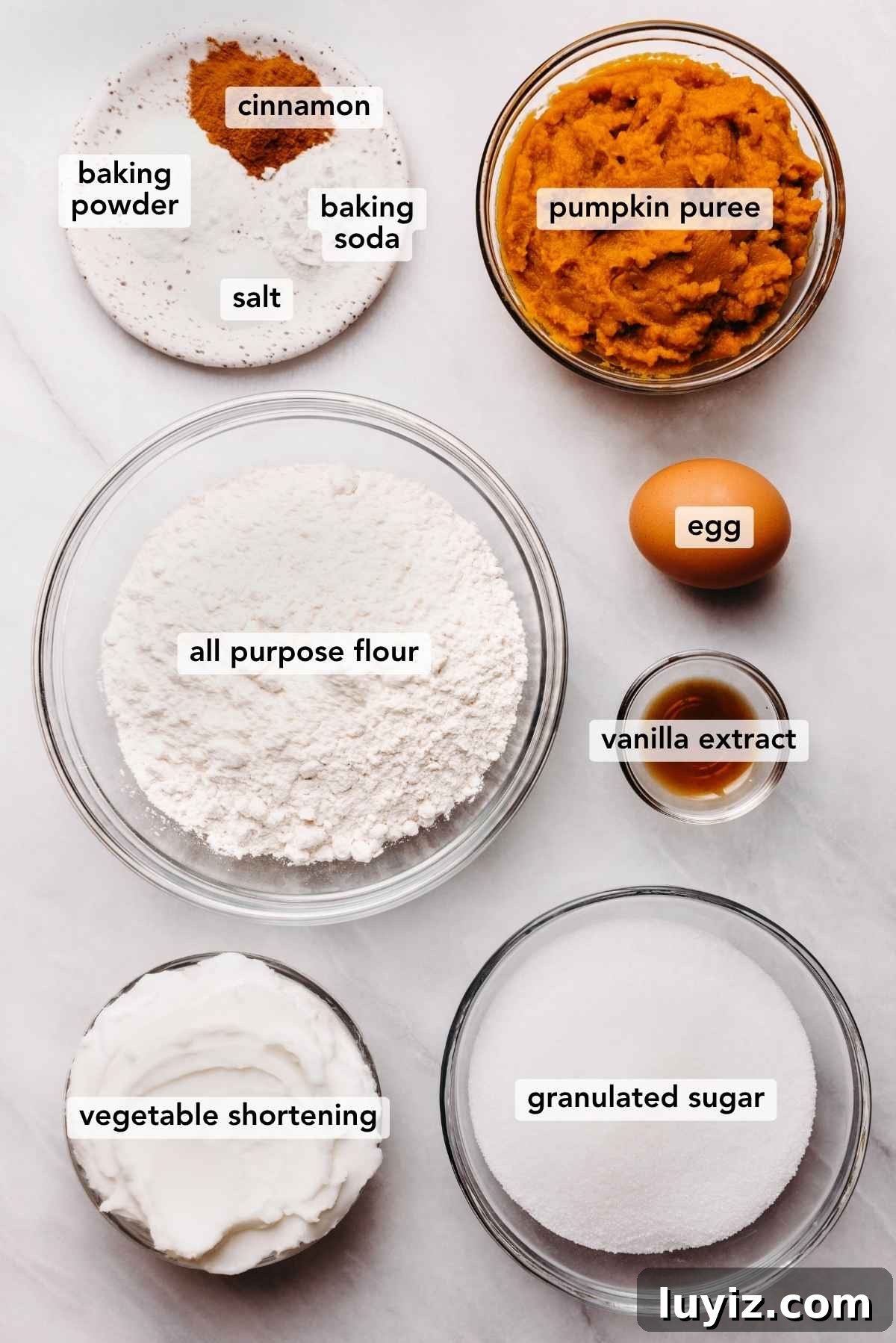 Pumpkin Whoopie Pies Recipe: Soft Spiced Sandwich Cookies 5 Ingredients in various size bowls labeled as salt, baking powder, baking soda, cinnamon, pumpkin puree, all purpose flour, egg, vegetable shortening, and granulated sugar on a white marbled background.