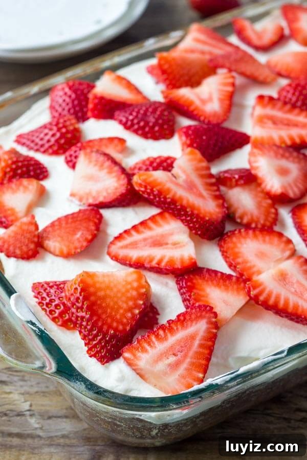 Homemade Strawberry Cake Recipe with Fresh Strawberries 3 Homemade strawberry cake - moist vanilla cake filled with berries and topped with whipped cream.