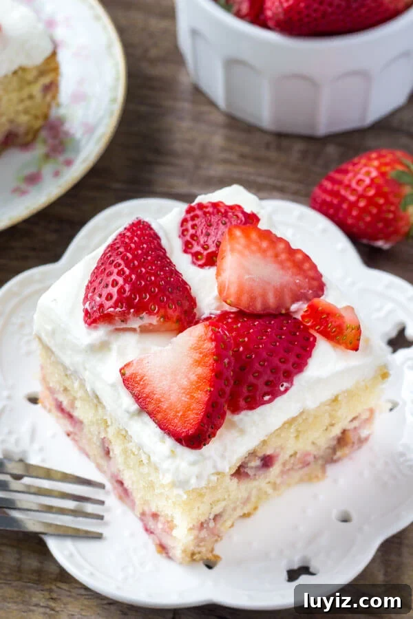 Homemade Strawberry Cake Recipe with Fresh Strawberries 5 Easy strawberry cake with juicy strawberries