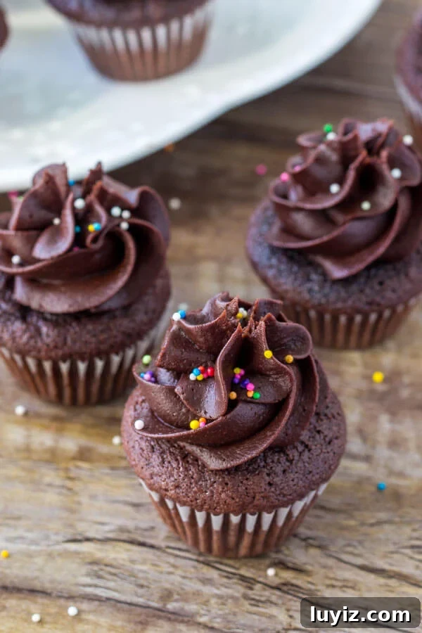 Mini Chocolate Cupcakes Recipe for Moist, Bite-Sized Treats 3 Miniature chocolate cupcakes with chocolate frosting.