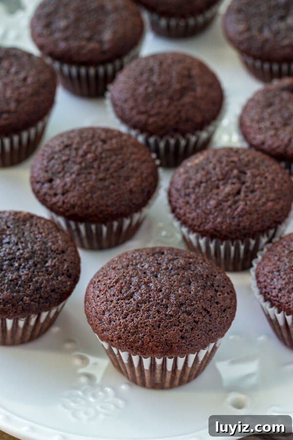 Mini chocolate cupcake recipe - learn all the secrets to making perfect mini cupcakes everytime