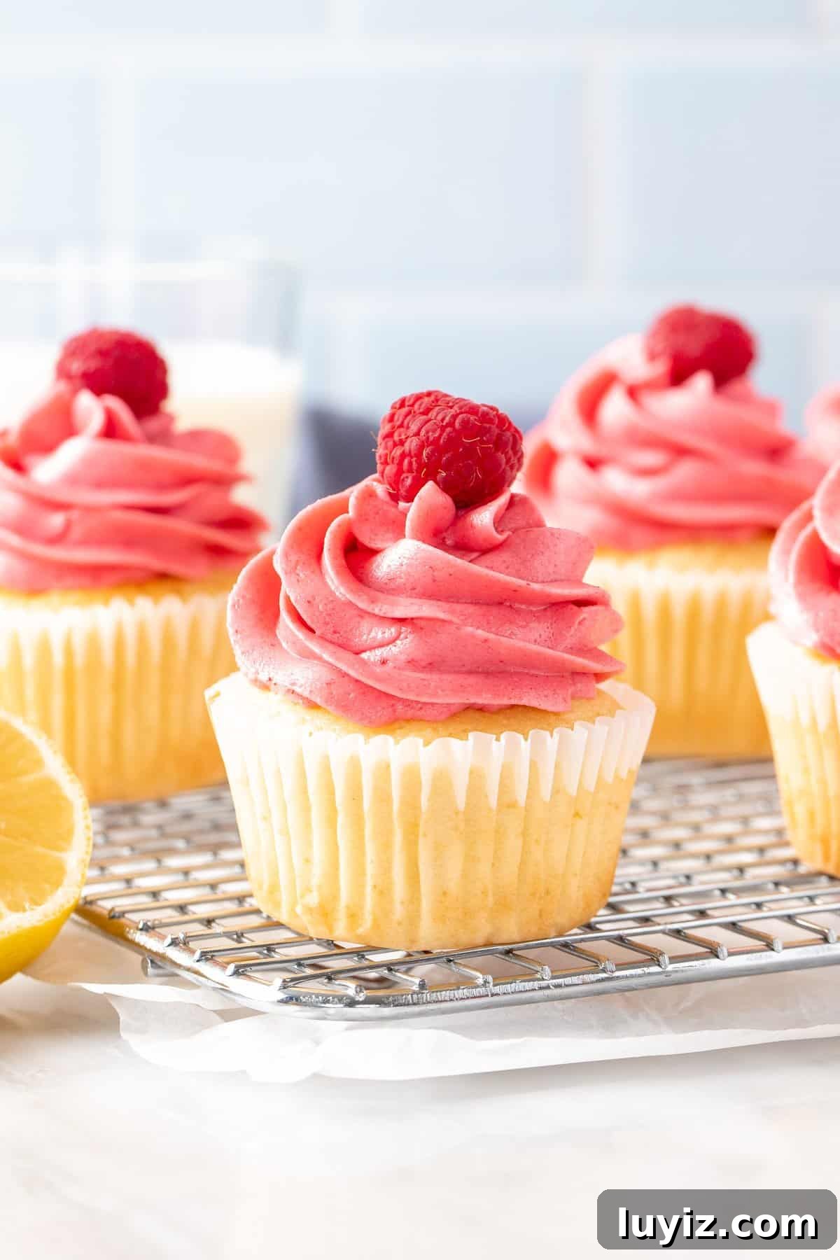 Lemon Raspberry Cupcakes Recipe — Zesty Citrus & Fresh Berries 2 Lemon raspberry cupcakes on a wire cooling rack