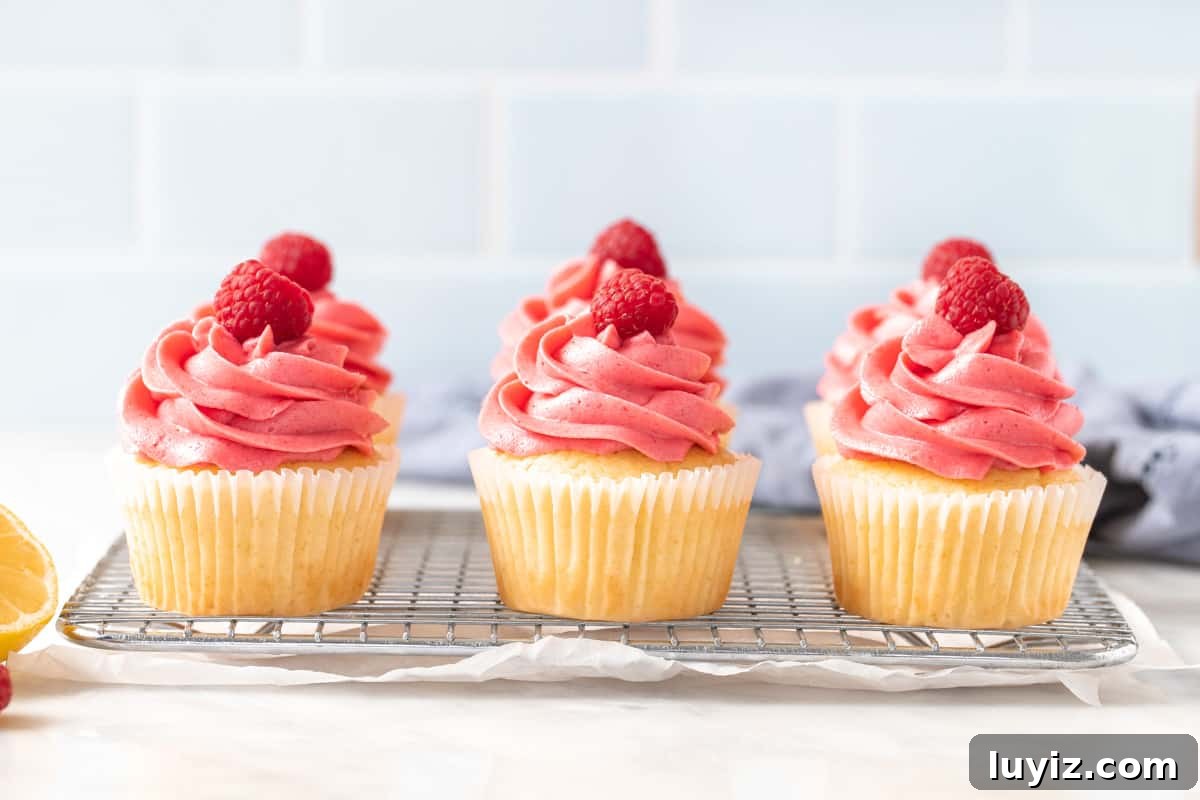Lemon Raspberry Cupcakes Recipe — Zesty Citrus & Fresh Berries 3 6 lemon raspberry cupcakes each with a raspberry on top