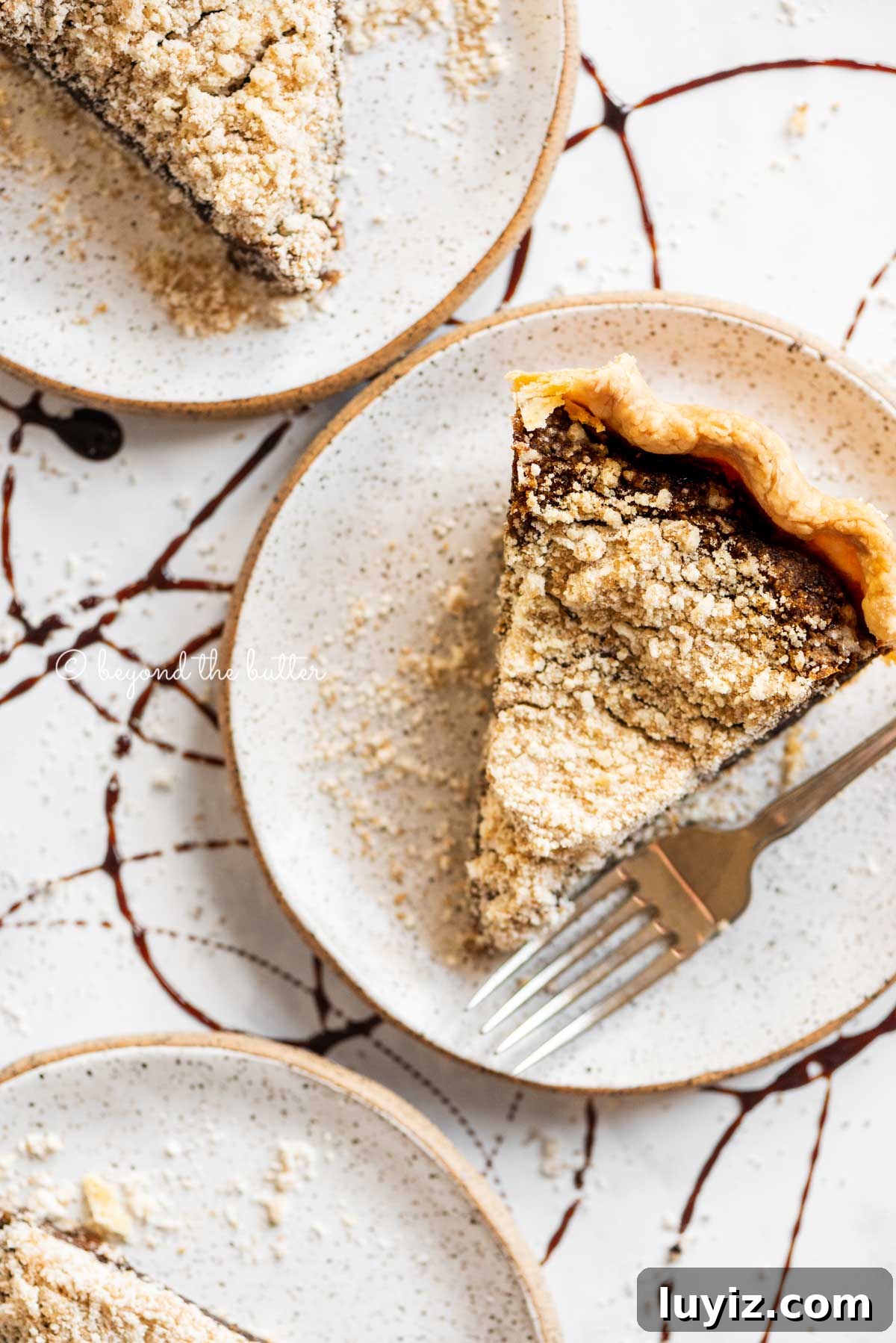 Classic Shoofly Pie Recipe: Molasses Crumb Pie from Pennsylvania 4 Slices of shoo fly pie on dessert plates | All Images © Beyond the Butter™