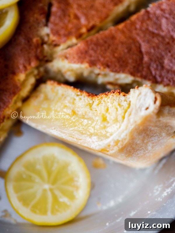 Classic Shoofly Pie Recipe: Molasses Crumb Pie from Pennsylvania 7 Close up of lemon sponge pie with one slice on its side paired with a slice of lemon below it.