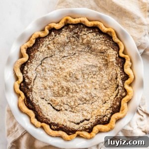 Classic Shoofly Pie Recipe: Molasses Crumb Pie from Pennsylvania 9 Overhead image of pennsylvania dutch shoo fly pie resting on top of a cloth napkin on white marbled background.