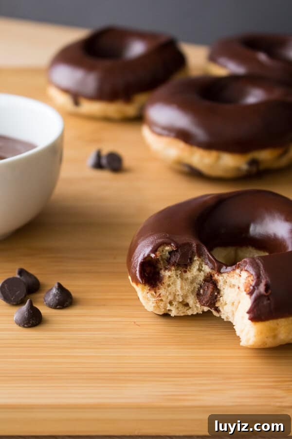 Chewy Chocolate Chip Doughnuts Recipe for Homemade Treats 2 Chocolate Chip Doughnuts. Cake doughnuts baked in a doughnut pan, filled with chocolate chips & dipped in chocolate glaze - Say hello to your new favorite breakfast!