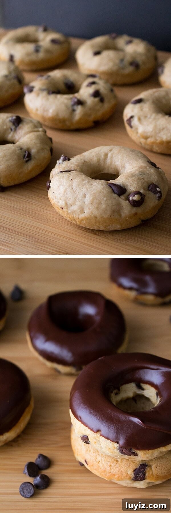 Chewy Chocolate Chip Doughnuts Recipe for Homemade Treats 3 Chocolate Chip Doughnuts. Cake doughnuts baked in a doughnut pan, filled with chocolate chips & dipped in chocolate glaze - Say hello to your new favorite breakfast!