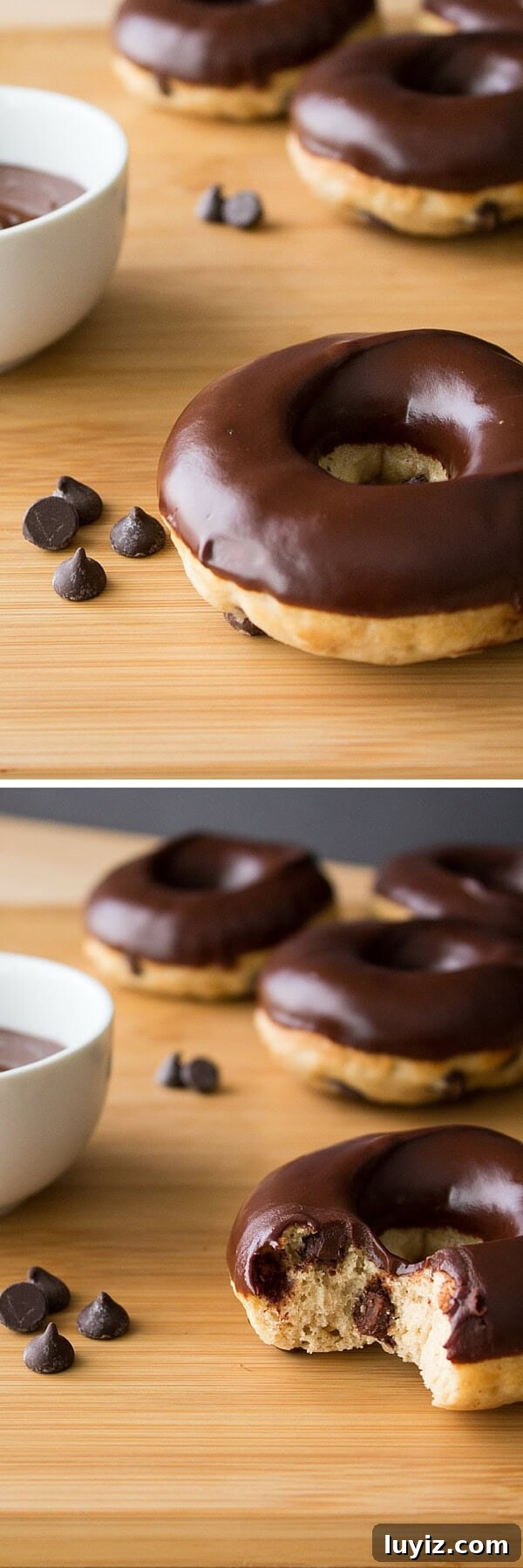 Chewy Chocolate Chip Doughnuts Recipe for Homemade Treats 5 Chocolate Chip Doughnuts. Cake doughnuts baked in a doughnut pan, filled with chocolate chips & dipped in chocolate glaze - Say hello to your new favorite breakfast!