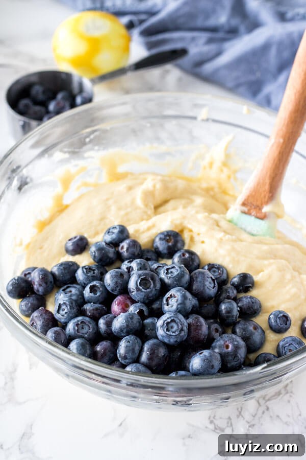 Moist Blueberry Loaf Recipe with Lemon Zest 4 A bowl of blueberry bread batter, before the blueberries are folded into the batter to show the thick and slightly lumpy batter.