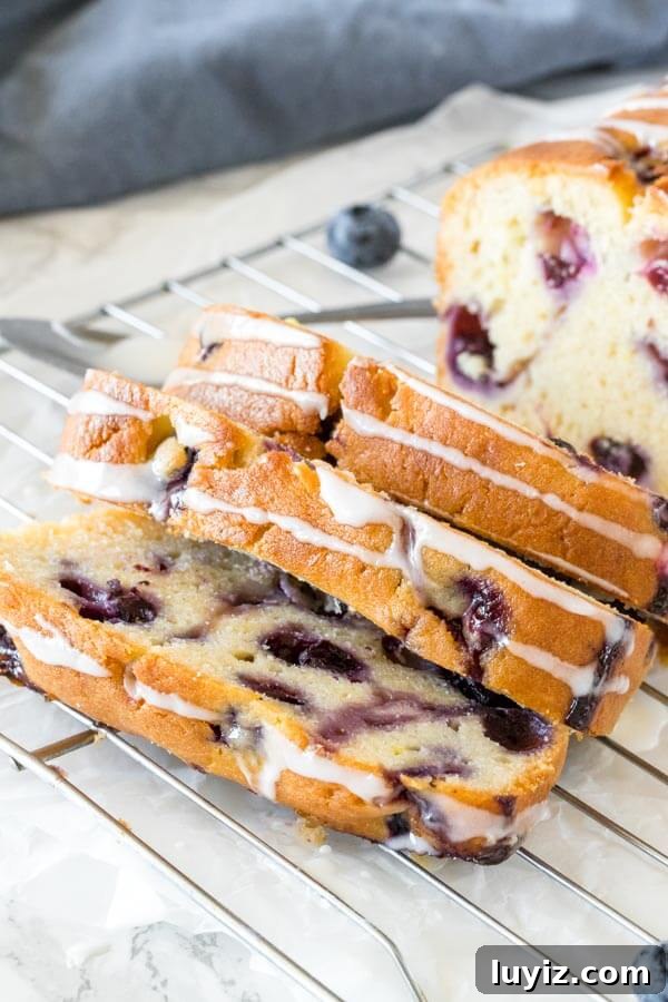 Moist Blueberry Loaf Recipe with Lemon Zest 5 Close up shot of glazed blueberry muffin bread highlighting the golden top of the bread.