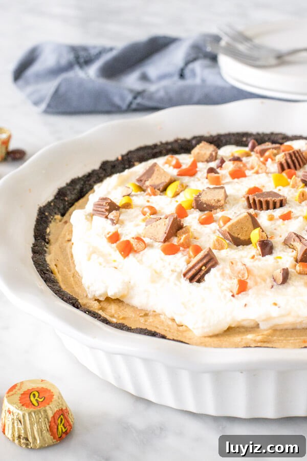 Creamy No-Bake Peanut Butter Pie Recipe for Any Occasion 3 Peanut butter pie with whipped cream on top and peanut butter candies in a white pie plate.