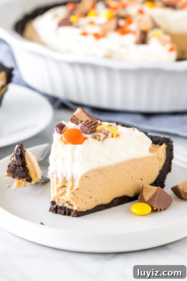 Creamy No-Bake Peanut Butter Pie Recipe for Any Occasion 6 A slice of no-bake peanut butter pie with a bite taken out of it.