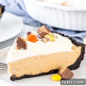 Creamy No-Bake Peanut Butter Pie Recipe for Any Occasion 7 Slice of peanut butter pie with whipped cream on top and made with an Oreo cookie crust