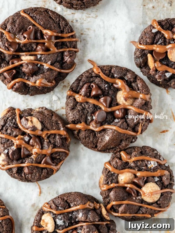 Classic Chocolate Chip Shortbread Cookies Recipe 13 Overhead image of double chocolate salted caramel cookies with caramel drizzle.