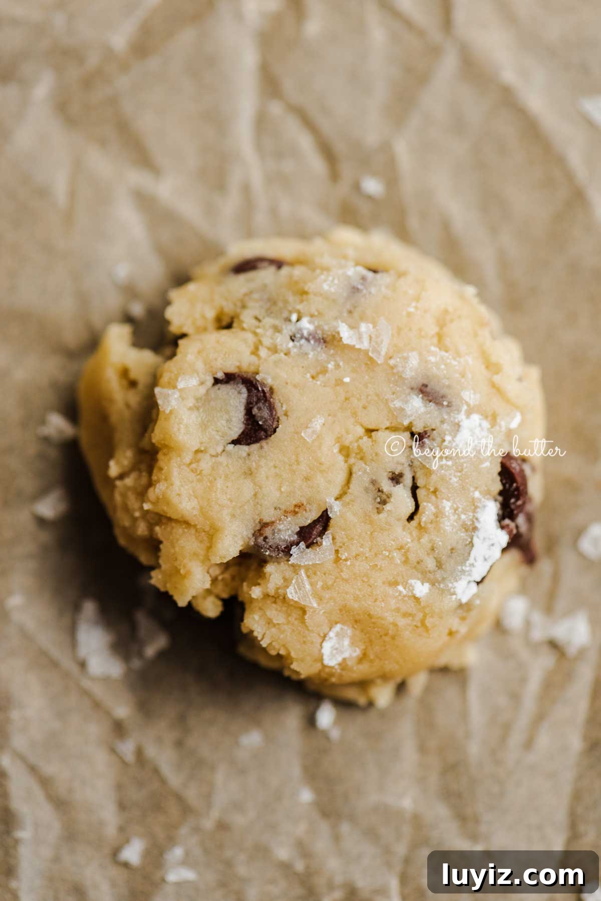 Classic Chocolate Chip Shortbread Cookies Recipe 5 Flattened chocolate chip cookie ready for baking | All Images © Beyond the Butter®