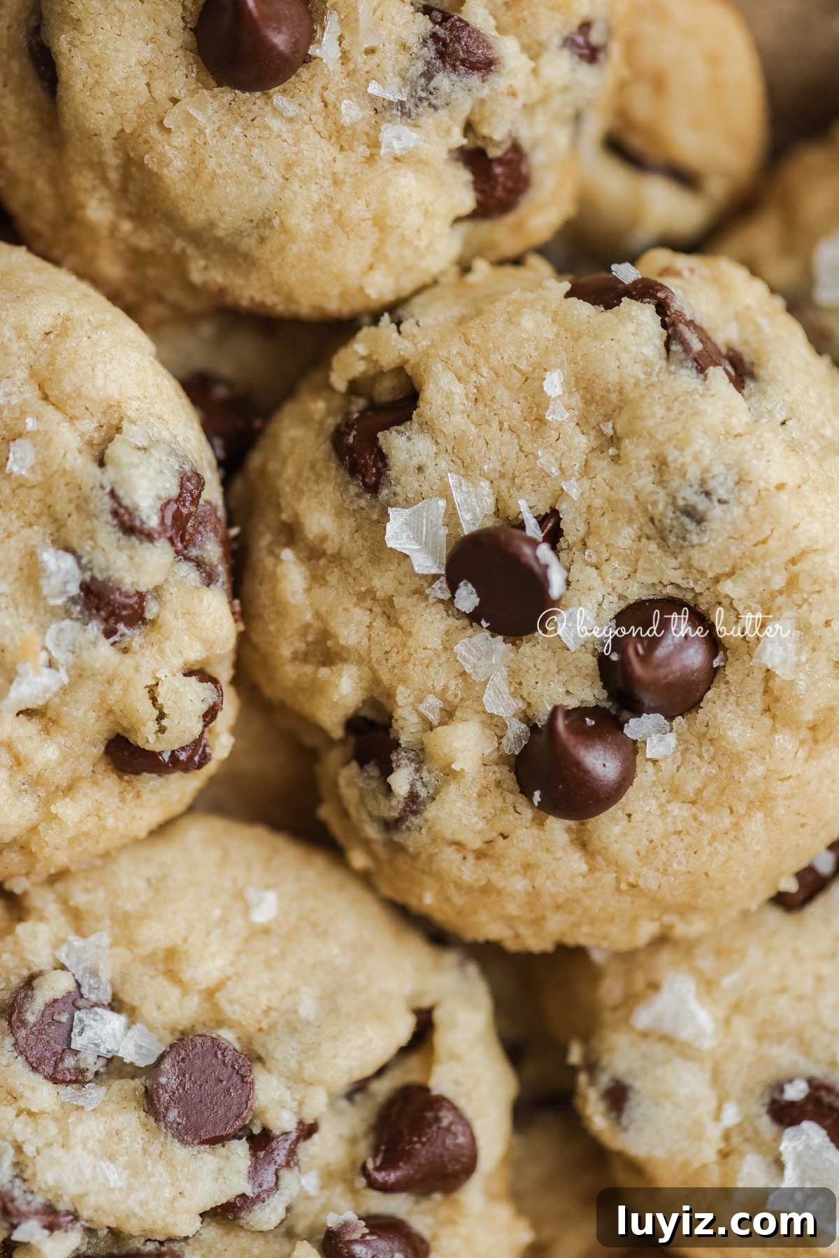 Classic Chocolate Chip Shortbread Cookies Recipe 7 Close up of chocolate chip shortbread cookies | All Images © Beyond the Butter®