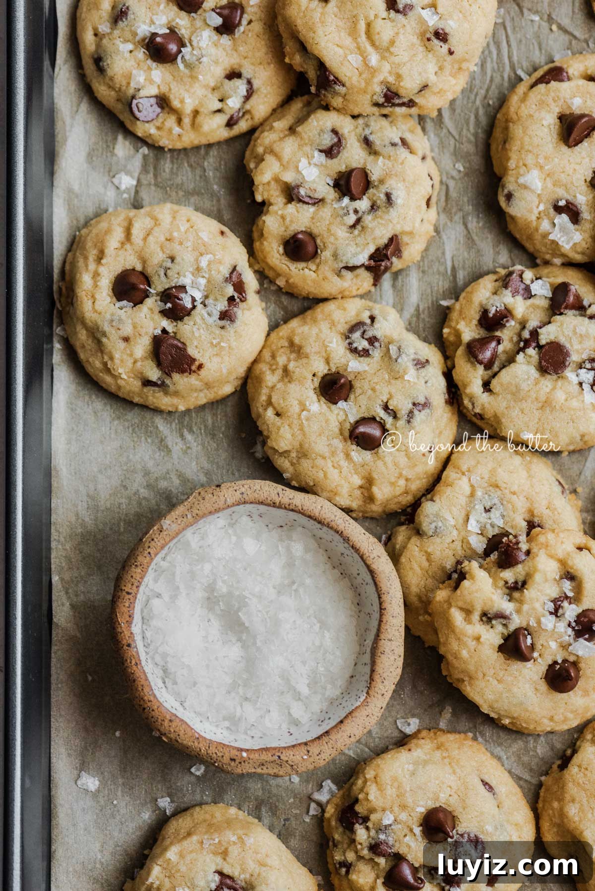 Classic Chocolate Chip Shortbread Cookies Recipe 8 Freshly baked salted chocolate chip shortbread cookies cooling on parchment paper lined cookie sheet | All Images © Beyond the Butter®