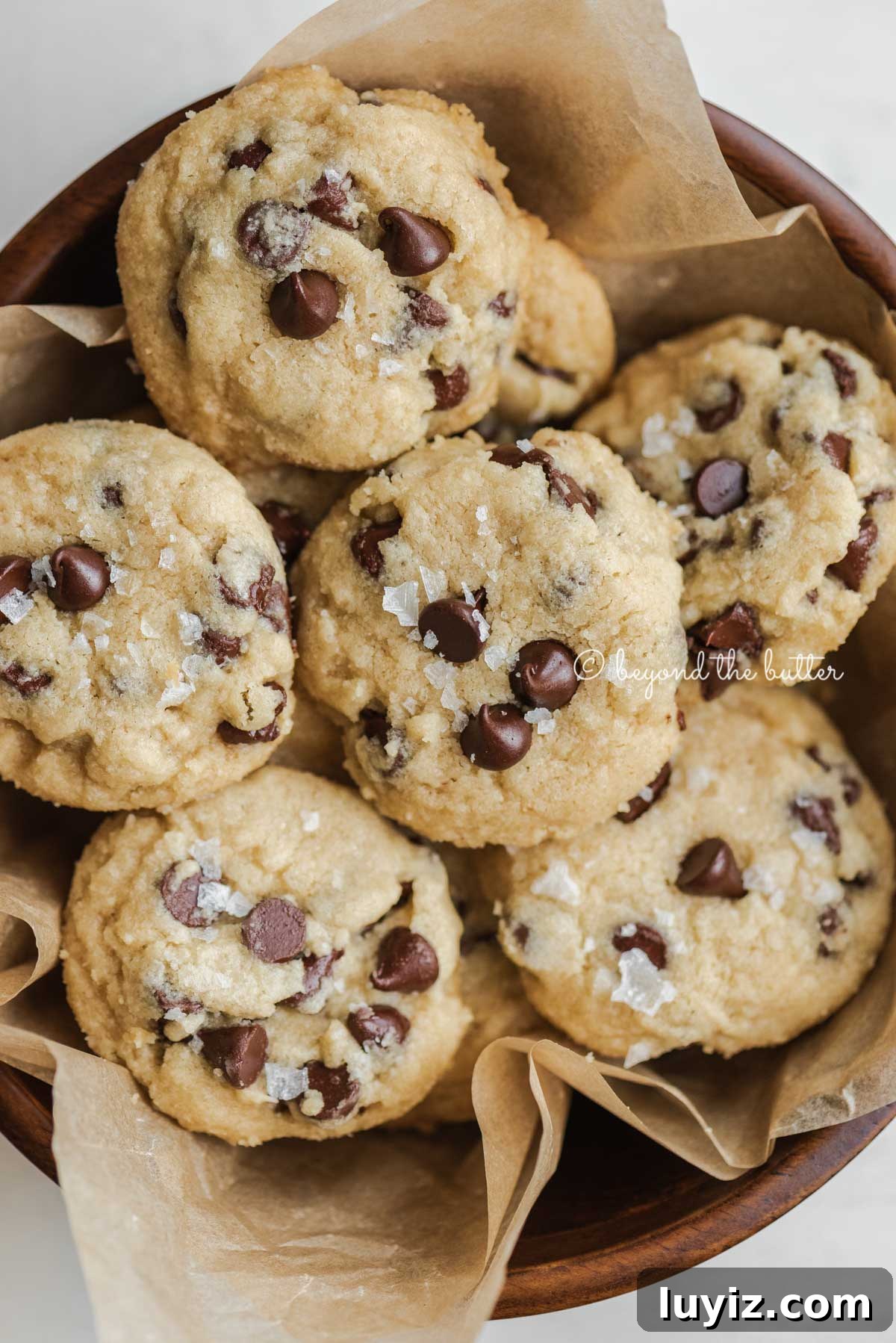 Classic Chocolate Chip Shortbread Cookies Recipe 9 Bowl of homemade chocolate chip shortbread cookies | All Images © Beyond the Butter®