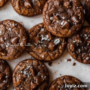 Salted Chocolate Brownie Cookies Recipe 5 Salted brownie cookies on abstract light brown background.