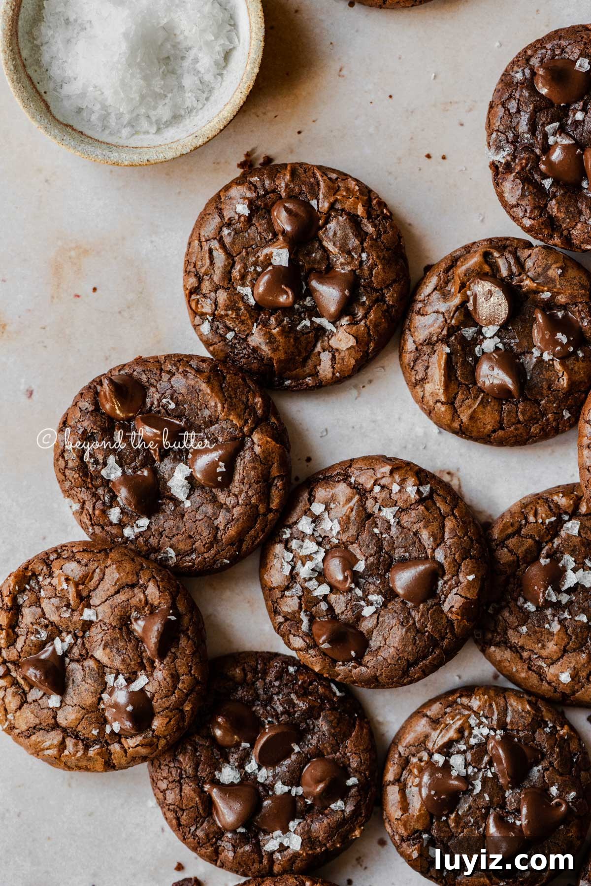 Salted Chocolate Brownie Cookies Recipe 6 Salted chocolate chip brownie cookies randomly placed on an abstract light brown background with small bowl of sea salt flakes to the side | All Images © Beyond the Butter®
