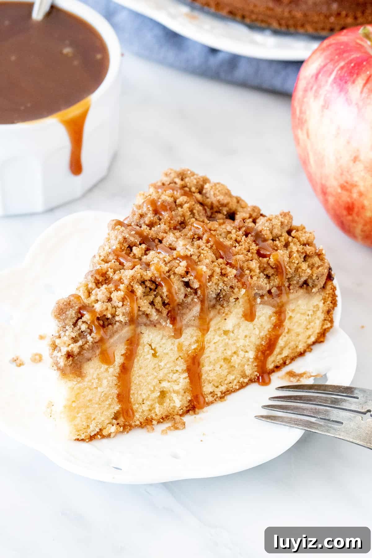 Apple Cinnamon Coffee Cake Recipe with Streusel Topping 2 Slice of apple coffee cake with a drizzle of caramel sauce.