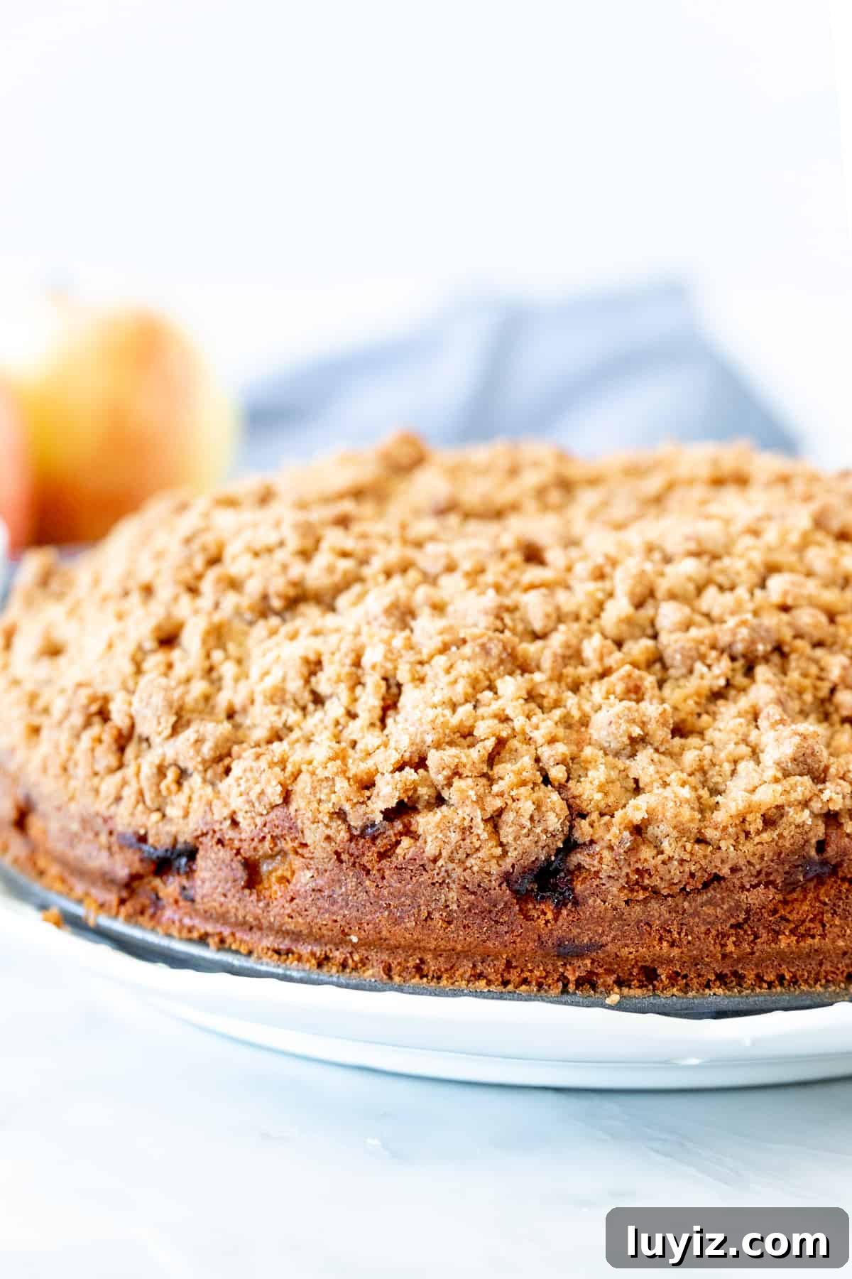 Apple Cinnamon Coffee Cake Recipe with Streusel Topping 3 9-inch round coffee cake with streusel topping