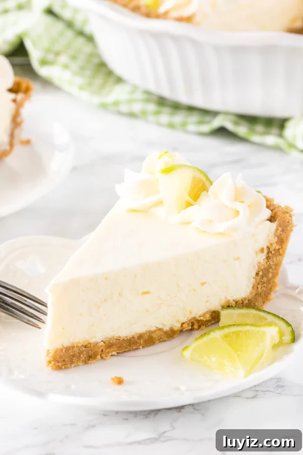 No-Bake Key Lime Pie Recipe (Quick, Creamy & Zesty) 2 A slice of no bake key lime pie topped with whipped cream and a slice of lime.