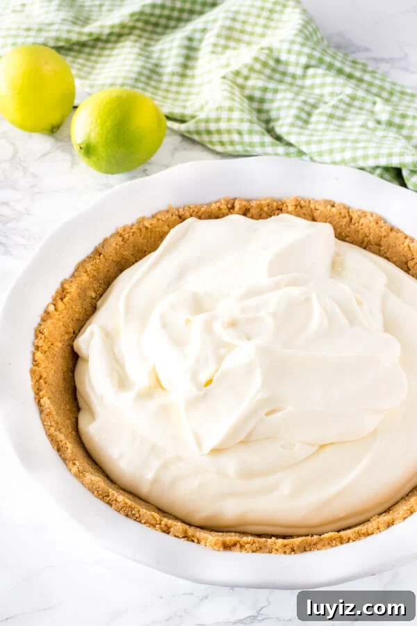 No-Bake Key Lime Pie Recipe (Quick, Creamy & Zesty) 5 No bake key lime pie filling after being spooned into the graham crust and before being smoothed on top and chilled.
